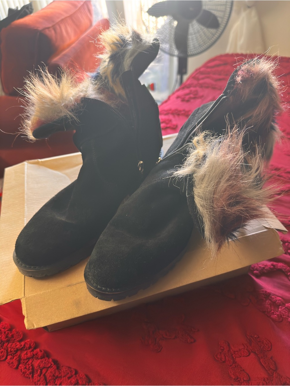 Sam Edelman Black Suede-Look Ankle Booties with Multi-Tone Faux Fur Cuff